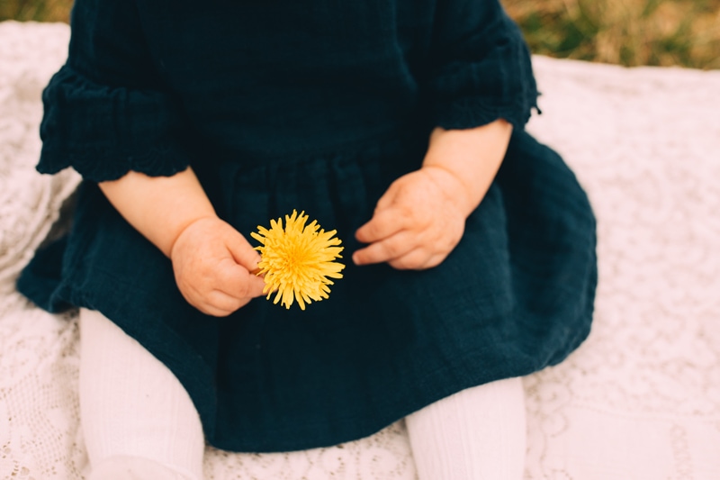 Milestone Photography, a little girl sits holding a flower outdoors on a blanket