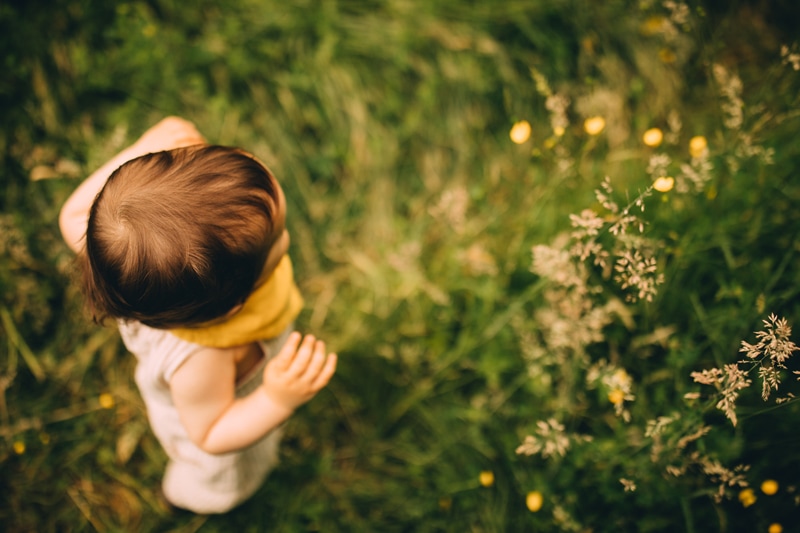 Family Photography - A little boy wanders through the grass