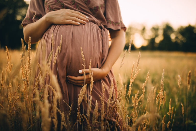 Family Photographer, a woman in a dress holds her belly in a dry grassy field, she is pregnant