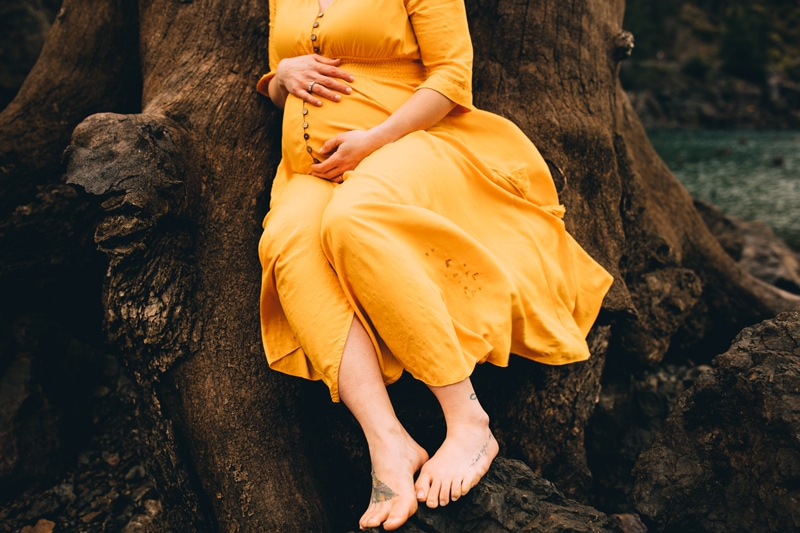 Family photographer, a woman sits in the roots of a tree, she is pregnant and holds her belly in anticipation of her baby