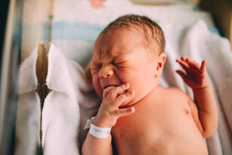 Fresh 48 Newborn Photography, A little baby in a hospital bassinet cries