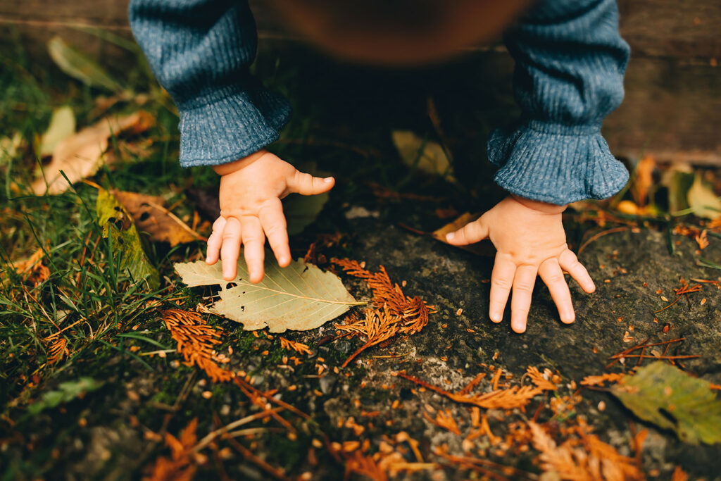 Babys hands while they crawl outside with fall leaves